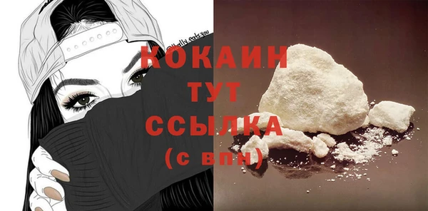 дживик Белокуриха