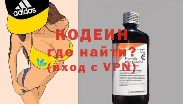 дживик Белокуриха