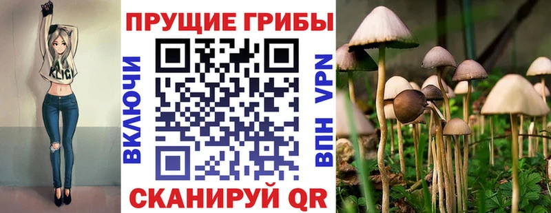 Псилоцибиновые грибы мицелий  Горнозаводск 